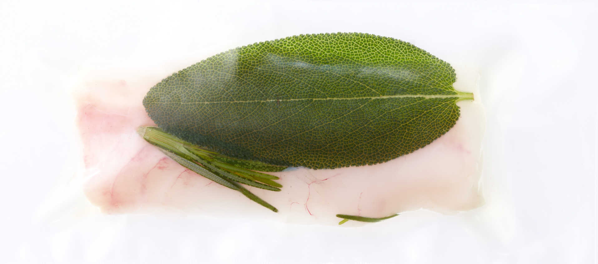 Poisson cuit sous vide à basse température avec Thermoplongeur - Sous Vide Consulting